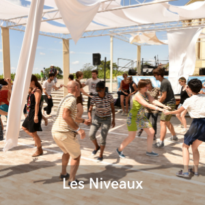 Les niveaux de danse , festival de musiques et de danses swing, Swinging Montpellier