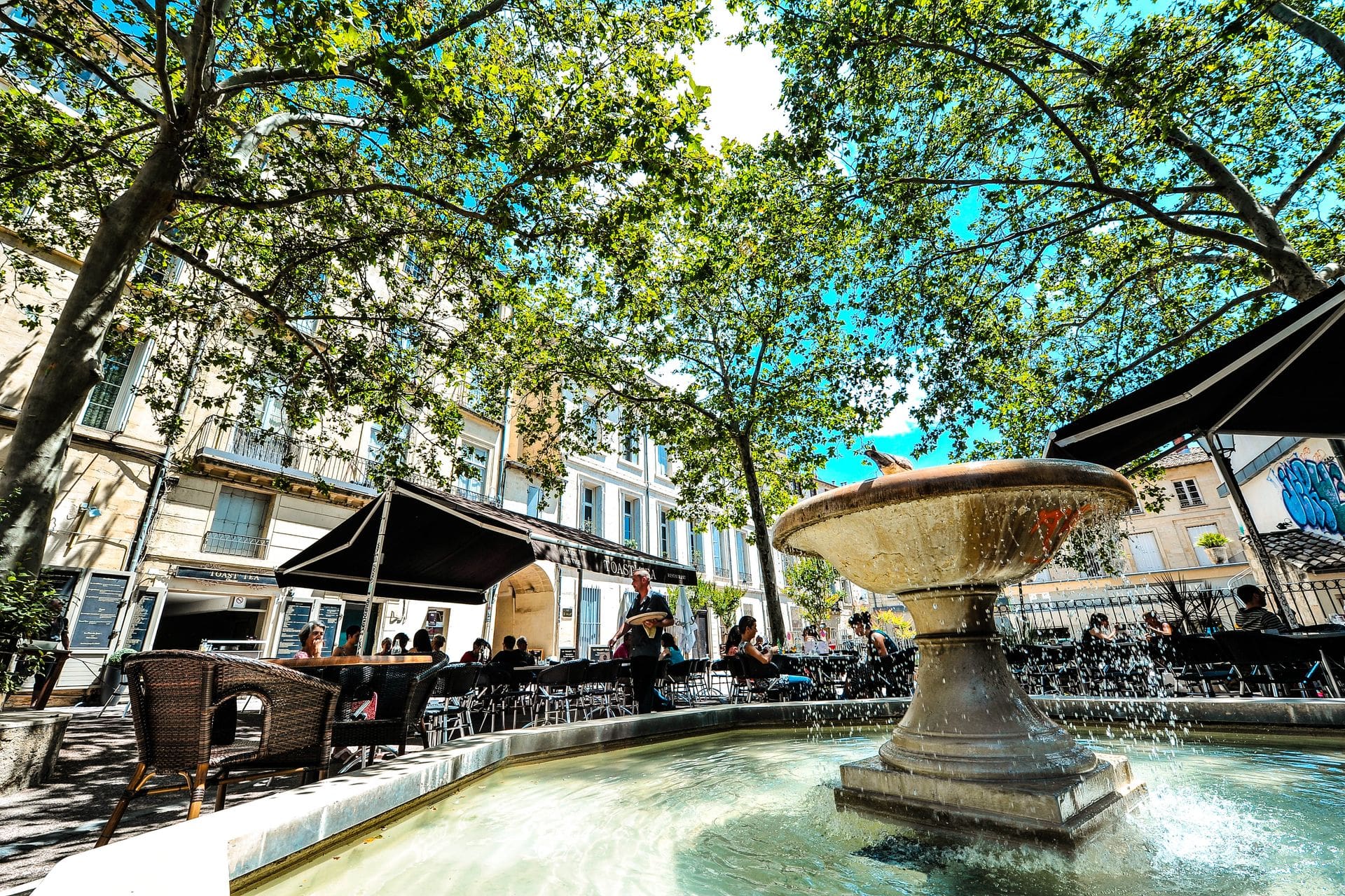 charme de montpellier centre douceur de vivre a montpellier à l'ombre des platanes